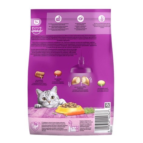 5998749144367_800_g_back