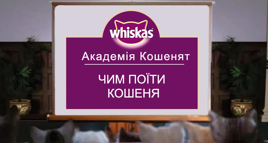 ua_1559743982817