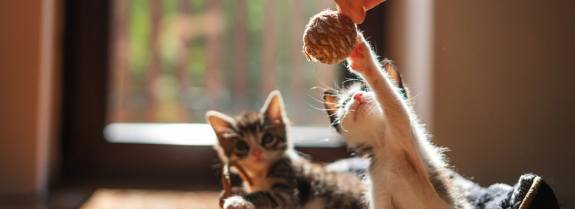 Socialization-et-jeu_1